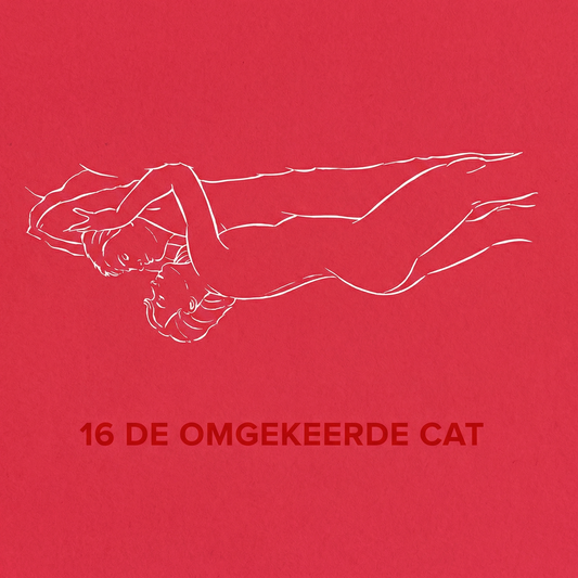 Omgekeerde CAT techniek standje informatief artikel met illustratie over clitorale stimulatie bij penetratie