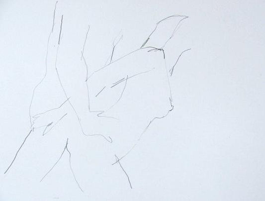 Minimalistische erotische lijntekening van kunstenaar Mart Franken op wit papier